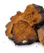 Treatment of gastritis of the stomach with chaga. Chronic gastritis can be treated with chaga and how