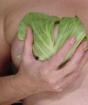 What are the medicinal properties of cabbage leaves?